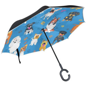 import placeholder for 616
