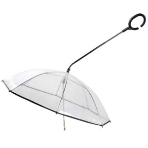 import placeholder for 570