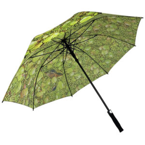 import placeholder for 634