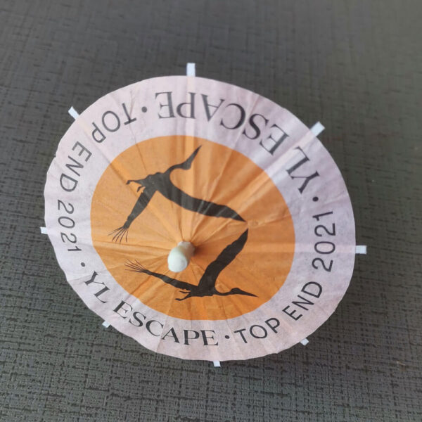 import placeholder for 738