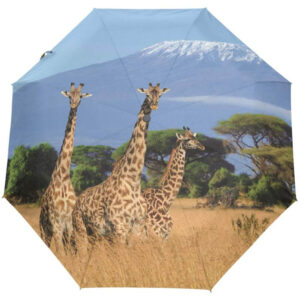 import placeholder for 694