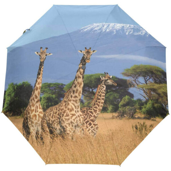 import placeholder for 694