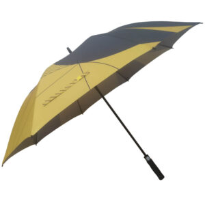 import placeholder for 521
