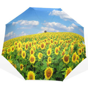 import placeholder for 833