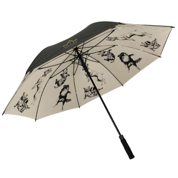 import placeholder for 424