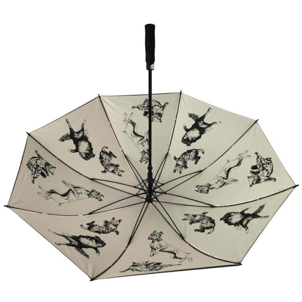import placeholder for 586