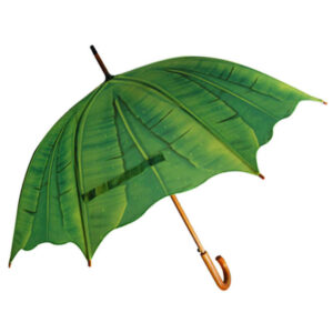 import placeholder for 591